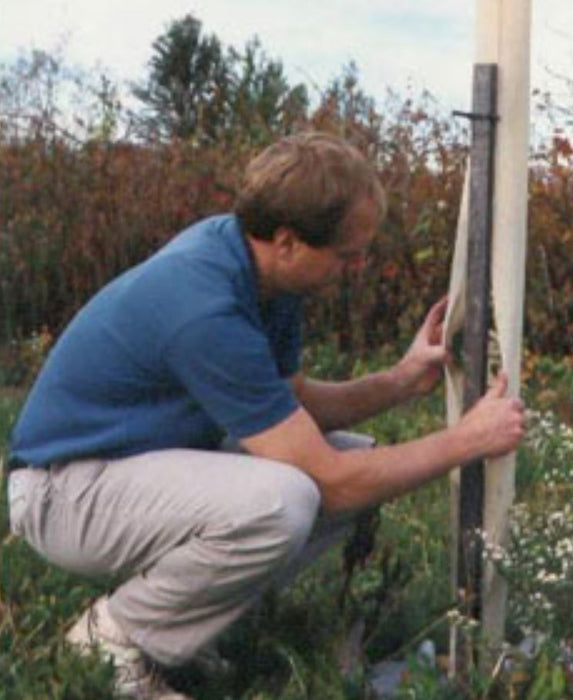 Grow Tubes For Trees - 24"