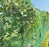 Hail netting protecting crops from hail

