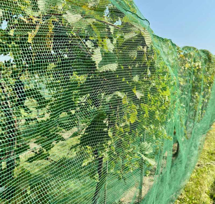 Hail netting protecting crops from hail
