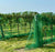 Hail netting installed over a vineyard
