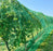 Insect netting installed over crops
