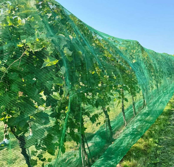 Insect netting installed over crops
